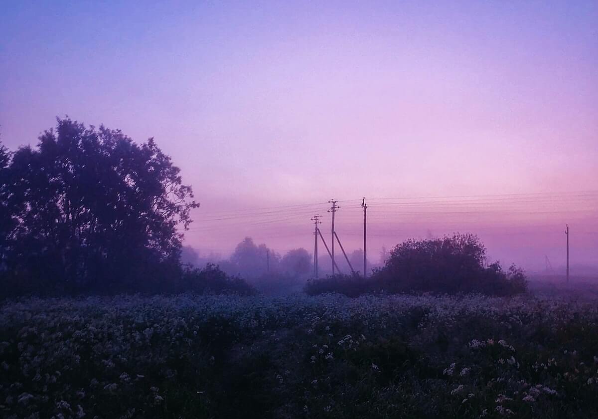 开云入口：以云为门，开启数字化新征程